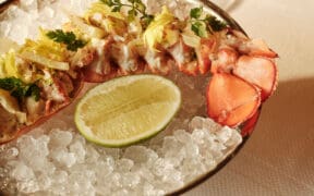 A cooked lobster from Ra Ra Room is in a bowl of ice with a half lime.