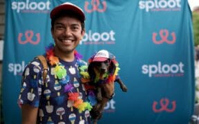 An ally of LGBTQIA+ wearing a rainbow lay holds a dachshund with matching lay for Denver's Paws with Pride event.