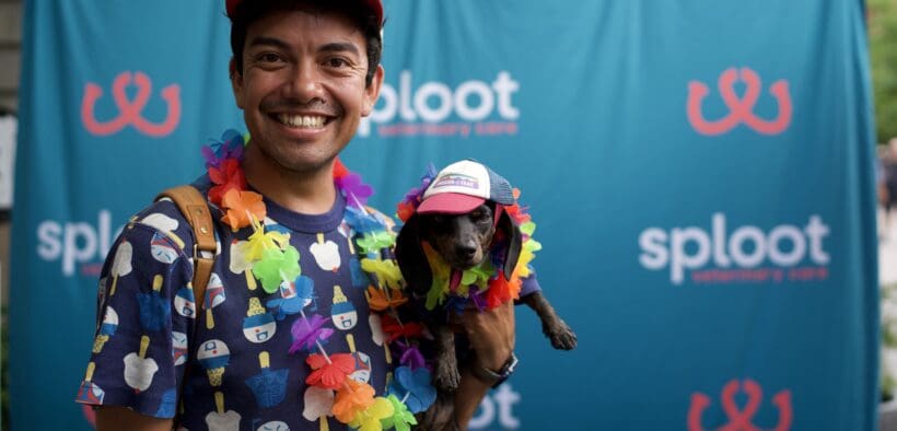 An ally of LGBTQIA+ wearing a rainbow lay holds a dachshund with matching lay for Denver's Paws with Pride event.