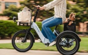 A woman rides a Lectric eBikes XP Trike2 down the street with a shopping bag in the front basket and her Yorki dog in the back basket.