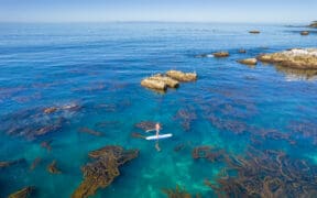 An aerial view of a Laguna Beach reef with a paddle boarder.