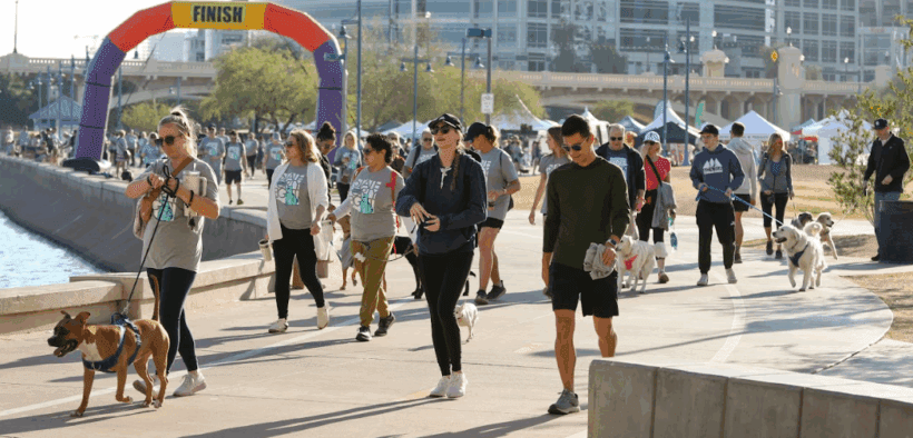 Arizona Animal Welfare League annual Walk to Save Animals event with people walking with their dogs in Tempe.
