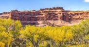 A photo of Moab in Autumn in Canyon Arches National Park Moab, Utah, with Fall foliage.