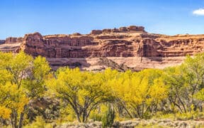 A photo of Moab in Autumn in Canyon Arches National Park Moab, Utah, with Fall foliage.