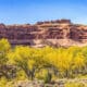 A photo of Moab in Autumn in Canyon Arches National Park Moab, Utah, with Fall foliage.