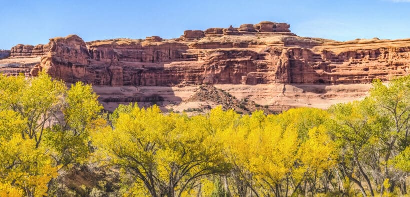 A photo of Moab in Autumn in Canyon Arches National Park Moab, Utah, with Fall foliage.