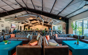 Formation Brewing with turquoise tables, couches and booths with plants and large windows.