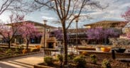 Several shops at The Orchard Town Center in Westminster, Colorado