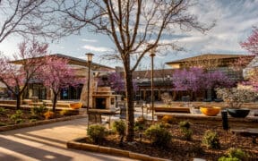 Several shops at The Orchard Town Center in Westminster, Colorado