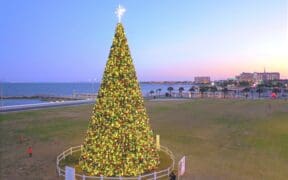 A large lit Christmas tree fenced in with Port Aransas in the back ground in Corpus Christi.