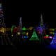 A Christmas light display of several trees in Orem, Utah.