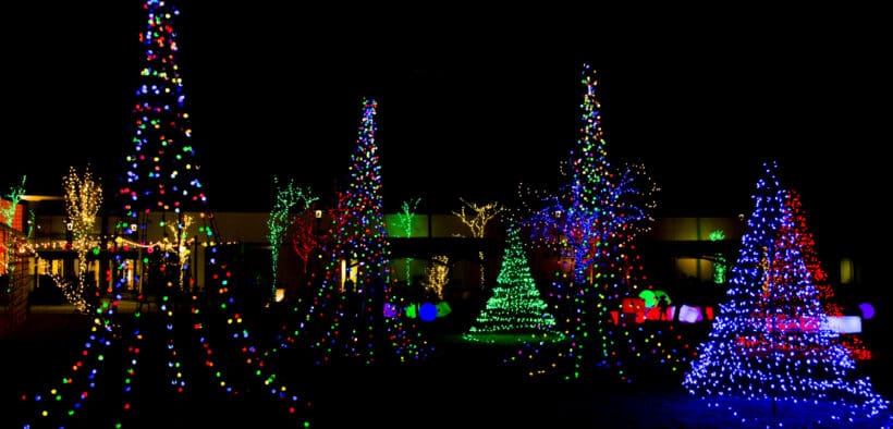 A Christmas light display of several trees in Orem, Utah.