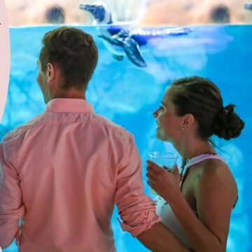 OdySea Aquarium’s Fish & Sips Valentine’s Edition, an adults-only event on February 14 from 5–9 p.m., featuring a couple enjoying drinks beside a large aquarium tank.