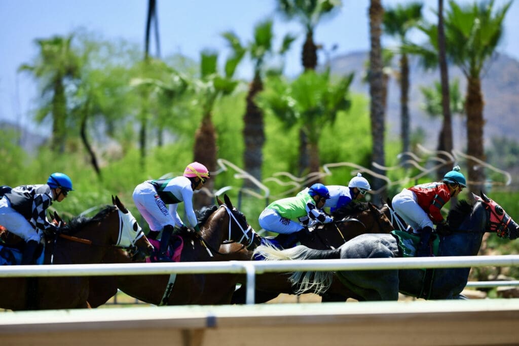Thoroughbred horse race in progress at Turf Paradise with jockeys competing during Kentucky Derby DayClub Arizona event.