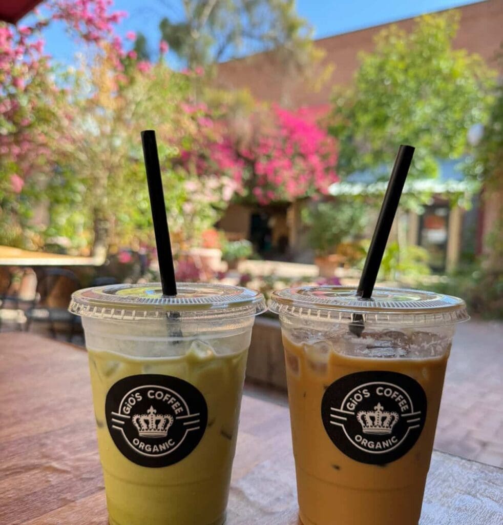Two iced drinks, one matcha and one iced coffee, on a table outdoors with greenery in the background.