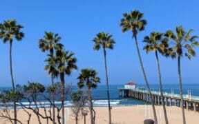 Palm trees and the Manhattan Beach Pier overlook the Pacific Ocean near the Roundhouse Aquarium in Southern California.