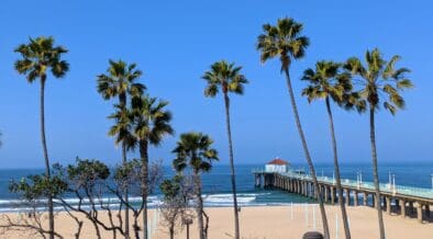 Palm trees and the Manhattan Beach Pier overlook the Pacific Ocean near the Roundhouse Aquarium in Southern California.