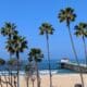 Palm trees and the Manhattan Beach Pier overlook the Pacific Ocean near the Roundhouse Aquarium in Southern California.