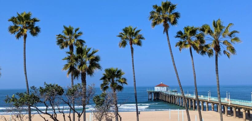 Palm trees and the Manhattan Beach Pier overlook the Pacific Ocean near the Roundhouse Aquarium in Southern California.