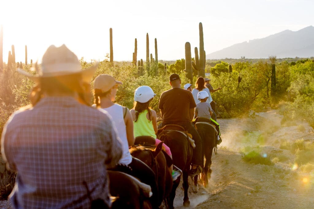 Guests horseback riding through the Sonoran Desert at Tanque Verde Ranch near Tucson with saguaro cacti and mountain views at sunset.