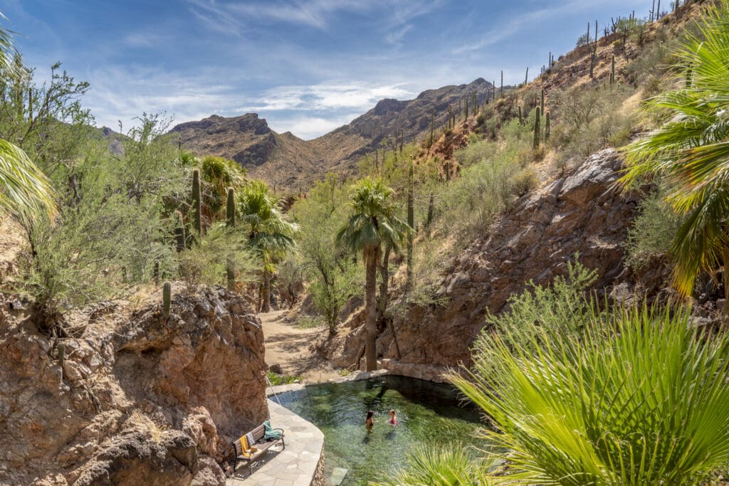 Natural hot springs pool nestled among palm trees and rocky desert canyon walls at Castle Hot Springs in Arizona, with guests enjoying the water beneath a blue sky.