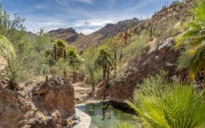 Natural hot springs pool nestled among palm trees and rocky desert canyon walls at Castle Hot Springs in Arizona, with guests enjoying the water beneath a blue sky.