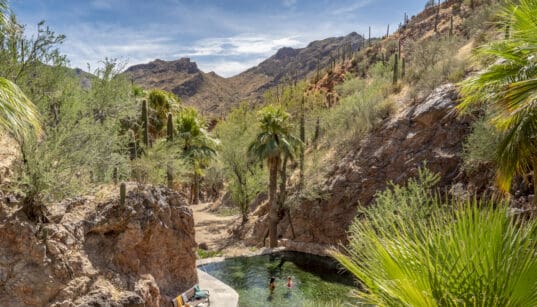 Natural hot springs pool nestled among palm trees and rocky desert canyon walls at Castle Hot Springs in Arizona, with guests enjoying the water beneath a blue sky.