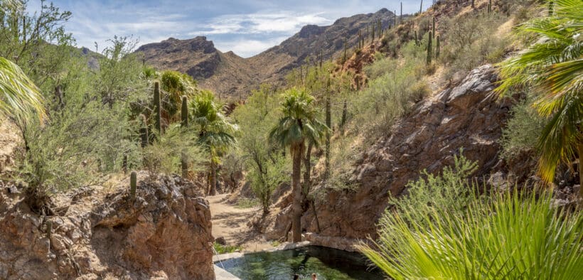 Natural hot springs pool nestled among palm trees and rocky desert canyon walls at Castle Hot Springs in Arizona, with guests enjoying the water beneath a blue sky.
