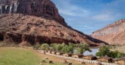 Aerial view of Red Cliffs Lodge Moab with horses grazing in a pasture beside the Colorado River and towering red rock cliffs.
