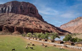 Aerial view of Red Cliffs Lodge Moab with horses grazing in a pasture beside the Colorado River and towering red rock cliffs.