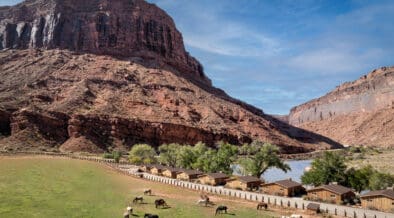 Aerial view of Red Cliffs Lodge Moab with horses grazing in a pasture beside the Colorado River and towering red rock cliffs.