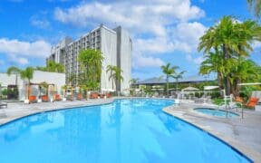 Outdoor swimming pool and hot tub surrounded by palm trees at Hilton Irvine in Orange County, California.