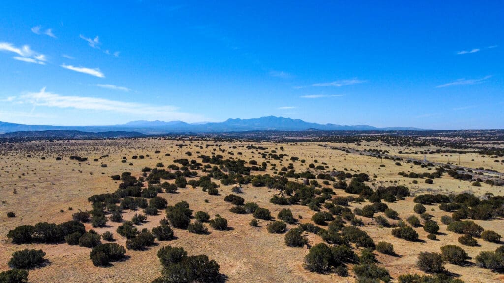 Rolling high-desert landscape with scattered juniper trees and distant mountains outside Santa Fe.