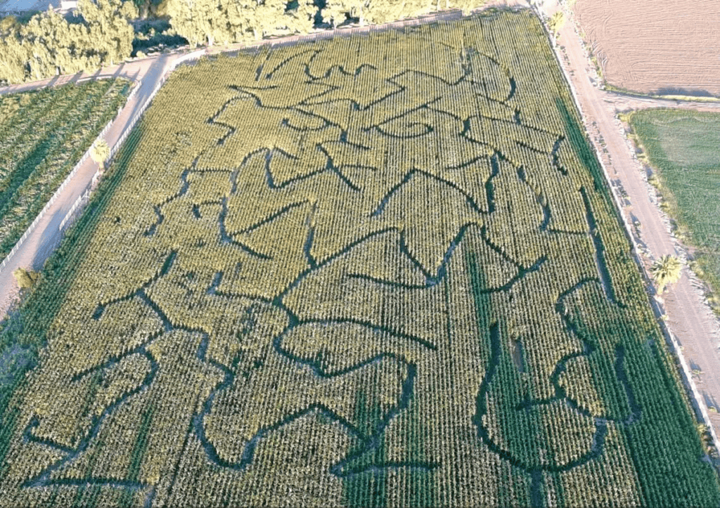 Aerial view of the Moapa Valley Corn Maze in Southern Nevada.