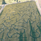 Aerial view of the Moapa Valley Corn Maze in Southern Nevada.