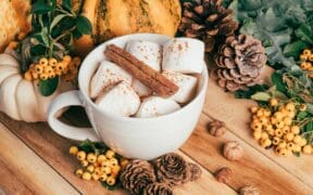 White mug filled with marshmallows and cinnamon sticks surrounded by pumpkins, pine cones and yellow berries on a rustic wooden table.