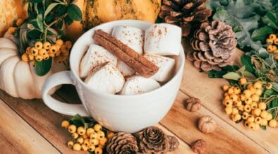 White mug filled with marshmallows and cinnamon sticks surrounded by pumpkins, pine cones and yellow berries on a rustic wooden table.