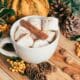 White mug filled with marshmallows and cinnamon sticks surrounded by pumpkins, pine cones and yellow berries on a rustic wooden table.