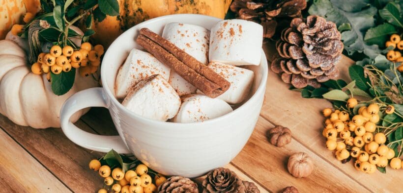 White mug filled with marshmallows and cinnamon sticks surrounded by pumpkins, pine cones and yellow berries on a rustic wooden table.